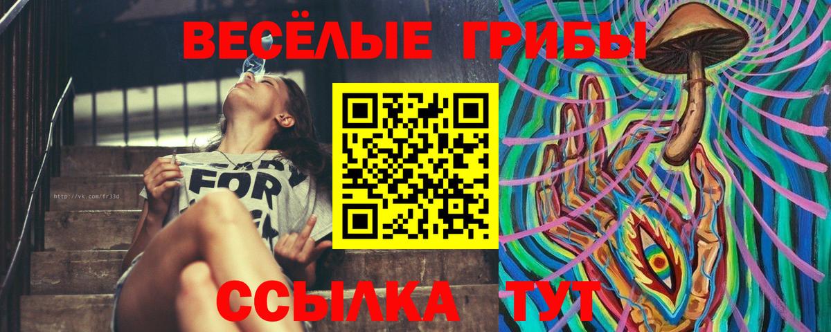 Самара  Галлюциногенные грибы Cubensis  Галлюциногенные грибы Cubensis  Вход с VPN 